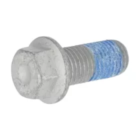 00360922 Horsch Csavar M20x45 10,9