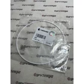 124005 CARRARO O-gyűrű