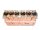 260-1002020 MTZ motorblokk (1221.2, 1221.3)