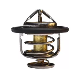 320/04552 Termosztát