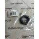 70787 CARRARO Anya
