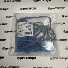 71-41823-00 Victor Reinz Tömítés, szelepfedél