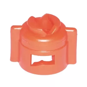 095016560590 Lechler Szelepfedél SW8, Rau