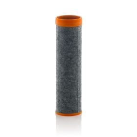 CF10001 MANN-FILTER Levegőszűrő