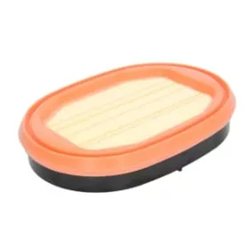 CF 2550 MANN FILTER Levegőszűrő