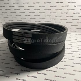 HXE12425 Tagex Ékszíj, tényleges hossza 5804 mm