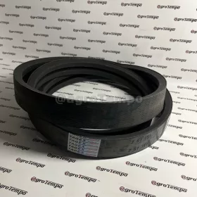 Z61151 Tagex Ékszíj, effektív hossza 3091 mm