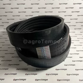 Z61858 Tagex Ékszíj, effektív hossza 2950 mm