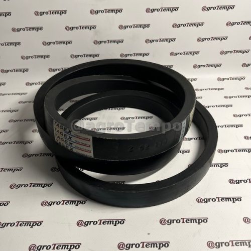Z62110 Tagex  Ékszíj, effektív hossza 2533 mm
